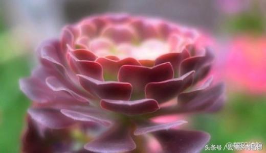 CC1f048468G8y8Oc.jpg