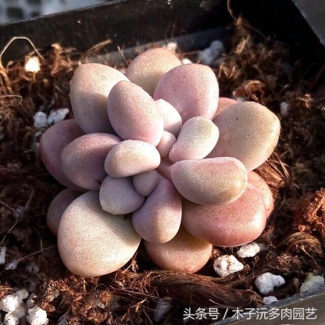 yoluV8ZhN5nP85A3.jpg