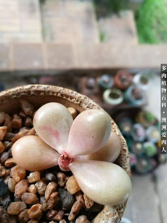 AjwLZ6PIpvBQU5xB.jpg
