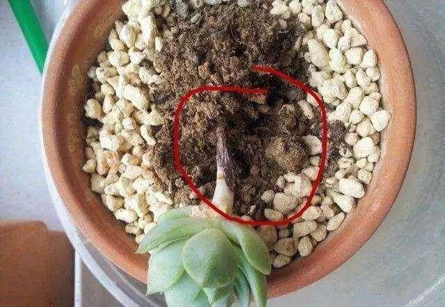 pBW7EwwWgiw7Eef4.jpg