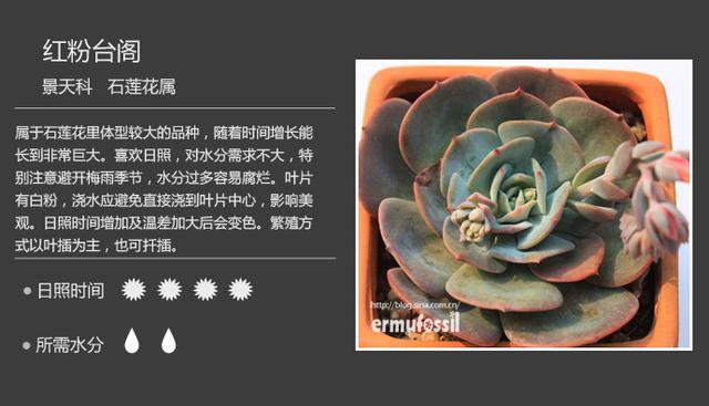 S07kR8Sp70Wq9qp7.jpg