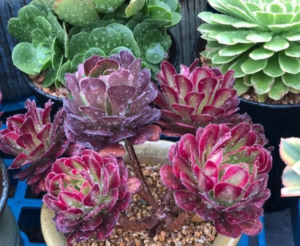 UCwg8D5IvI2G4pvN.jpg