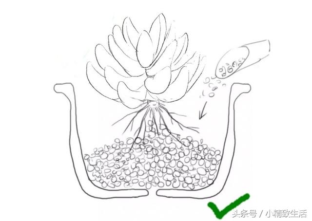HBiiseo867e48iEf.jpg