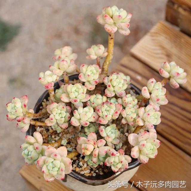 hONoK2tMpF5KT54f.jpg