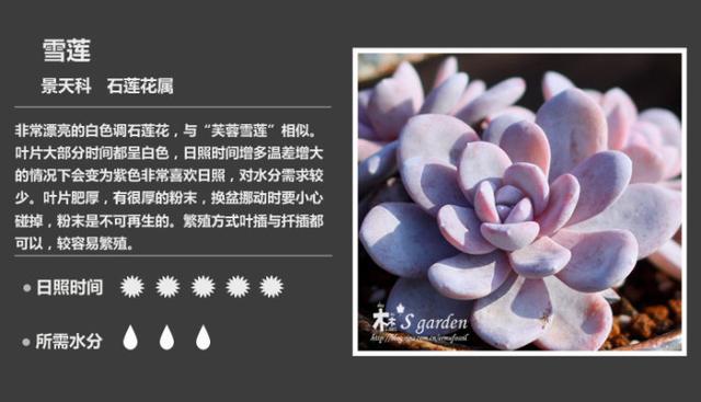 n99CJb30X02Ffb28.jpg