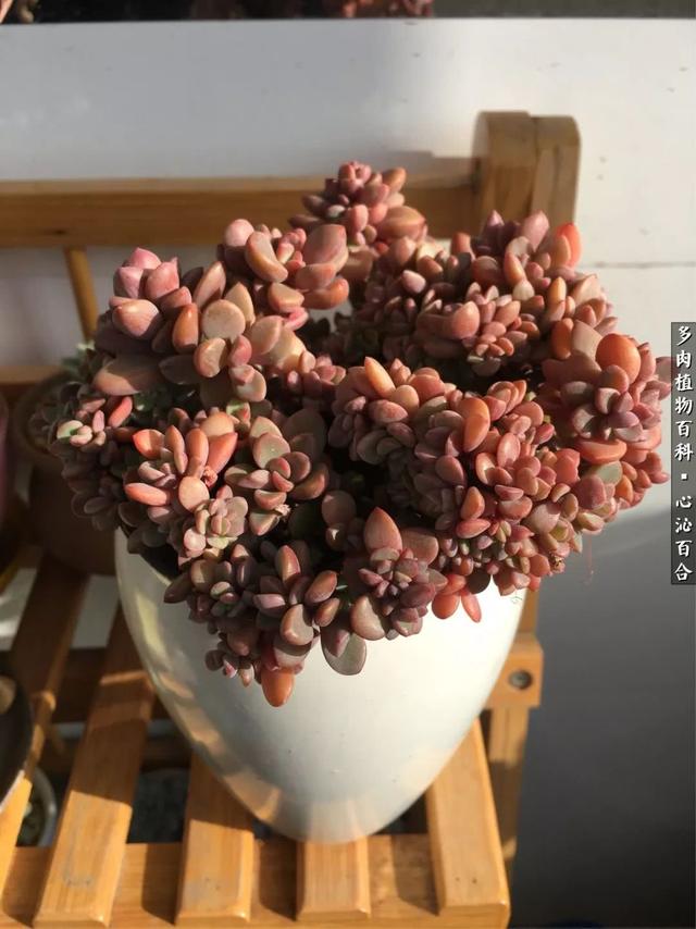 pQM8A7bT002n070w.jpg