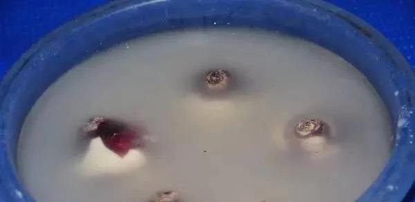 yWPdZcU9dFlbPJD5.jpg