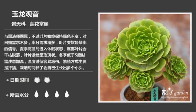 Ffk5ky538fxoyo38.jpg