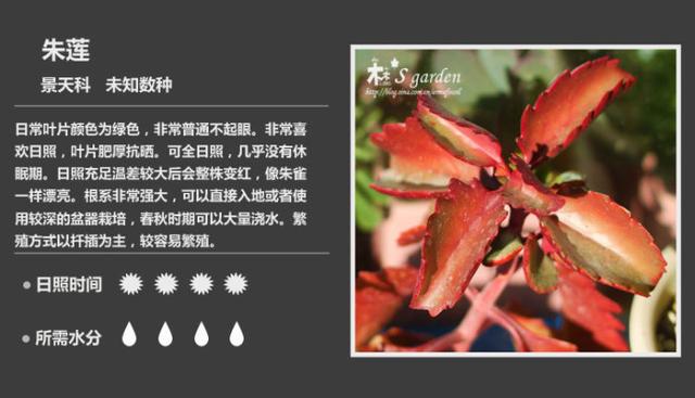 f27W29A177X1jfFh.jpg