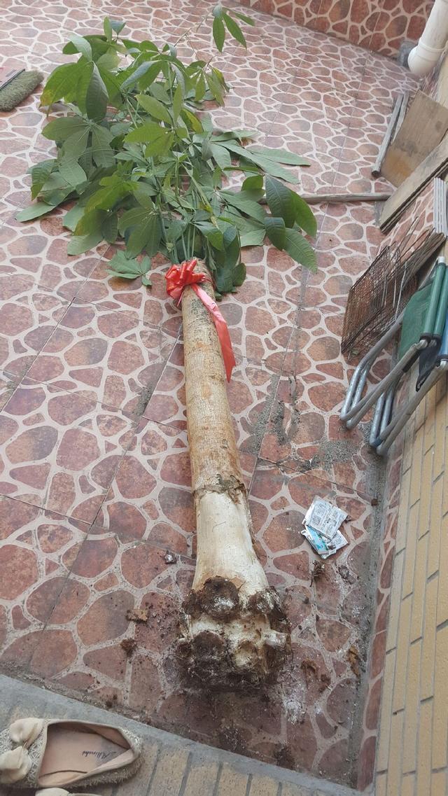 zJAaIay58KLFfjz5.jpg