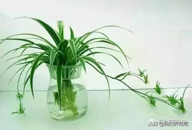 f40bbhU8Yk8D1hul.jpg