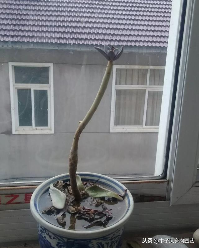 qAhmizIiT8SSIoD4.jpg