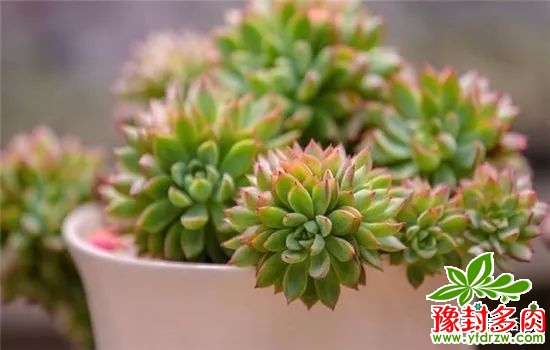 8298ea063ebdb8dc073878ec08e38d92.jpg
