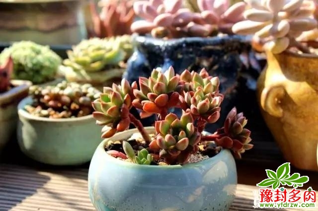 7b3f430697ec6f544e43ce89c138aad2.jpg