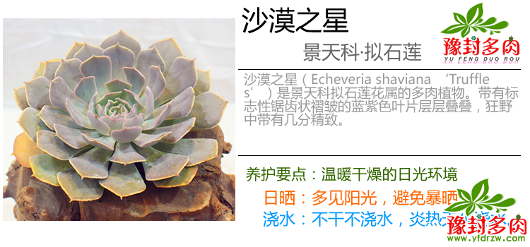 ɳĮ֮ͼ (2).png