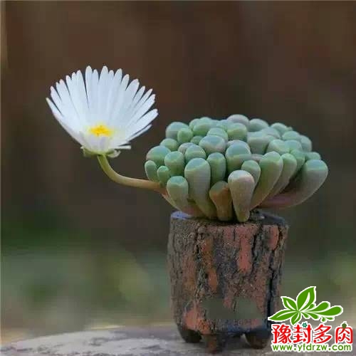 c5376ab5ffe64252186ccc93c29bb93c.jpg