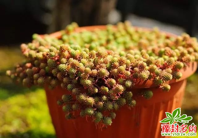 26f92dac18038431b8d6fa7b6b635f11.jpg
