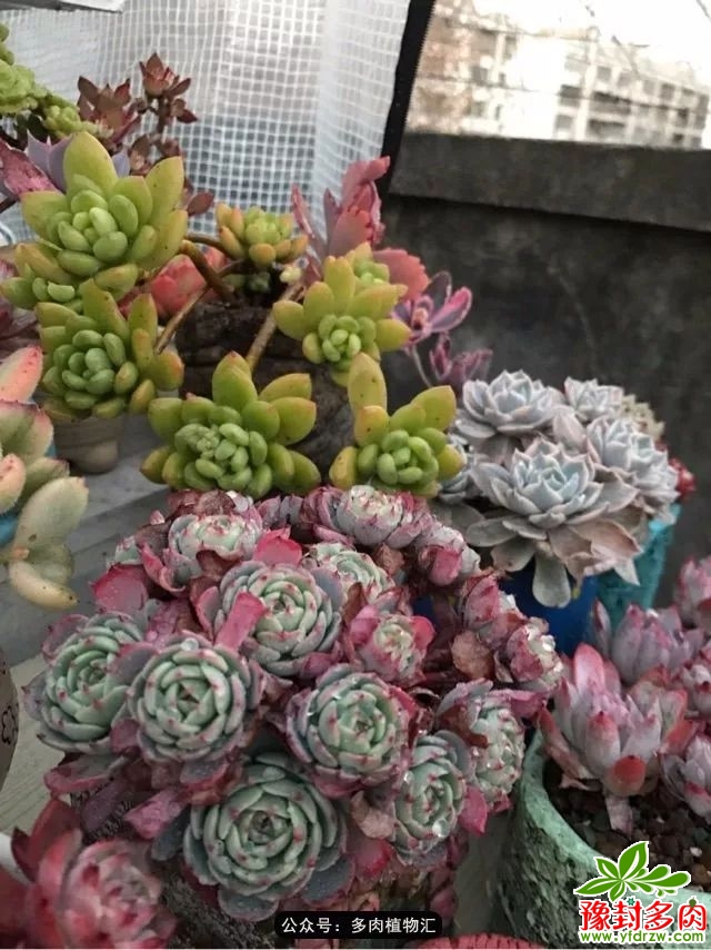 7d0fc62a84fc26393f07b57c17a3bda7.jpg