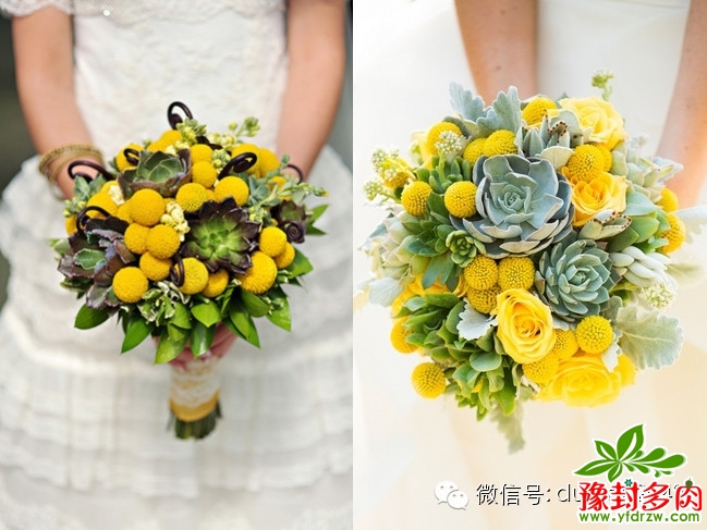 d7ea7470ea2dbd5b49e981041db239e5.jpg
