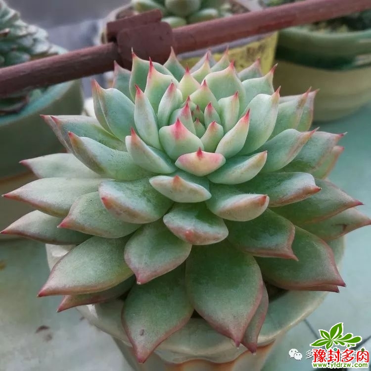 e93975f7aeae56981fe5cf81c9b9a4c0.jpg