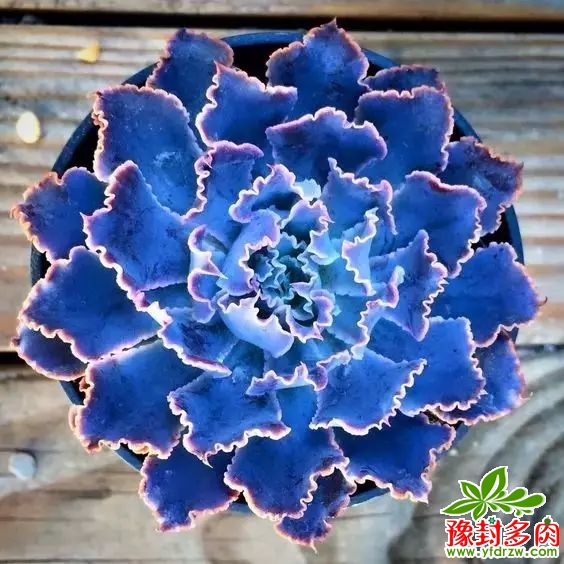 859c3d922e6dda6d0d99ab9e8bd5cc5a.jpg