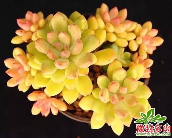 7ec7287e6e42b10090ce884ff418c8a8.jpg