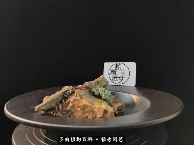 mWt2Yb6BagAaj2Bd.jpg