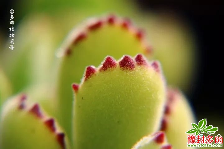 f54d33cf54cccdaccb6163819f870e26.jpg