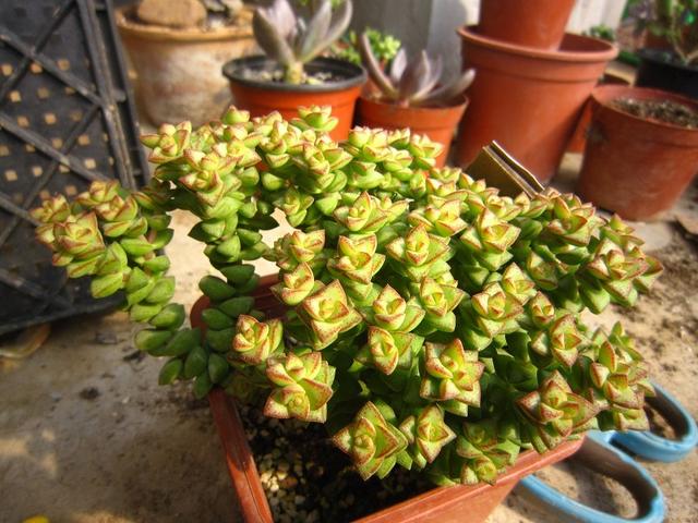 ofWeo2O6vmlE42WS.jpg