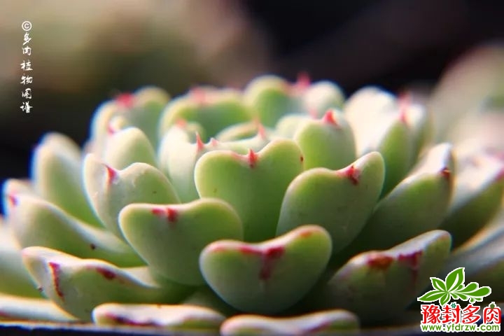 d6ebdfdb04e28d387c10929c9722959f.jpg