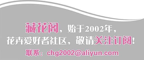 jZ4874Rd4Ya8997D.jpg