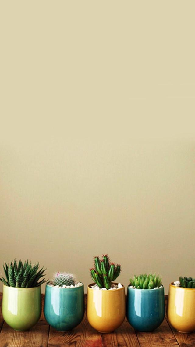 oguhhXZmT5j715EI.jpg