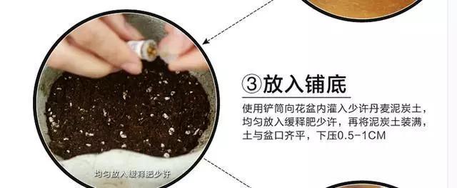 C65d8q66Jy83p1Mm.jpg