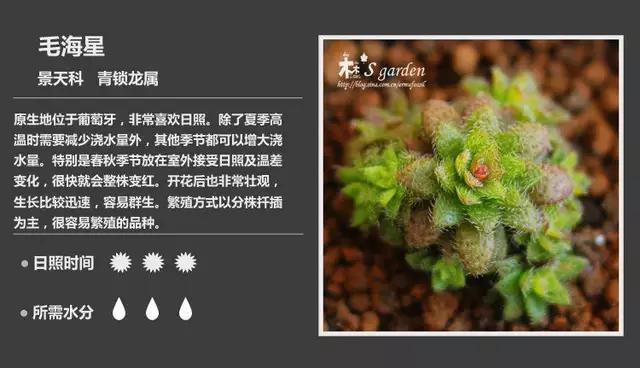 cc7p87796S6K587p.jpg