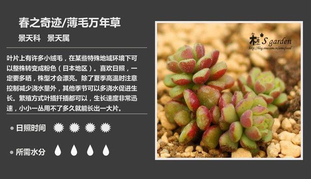 G7qQe4Pzy19hN577.jpg