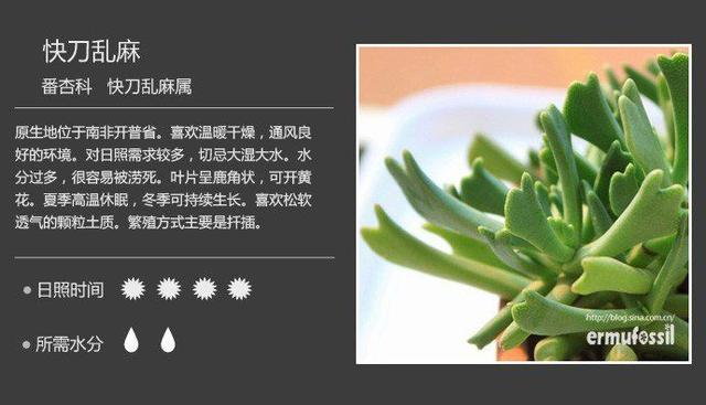 P9N8fnN67VjpC6Pw.jpg