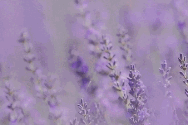 ptZnpX9xXpWoO2pN.jpg