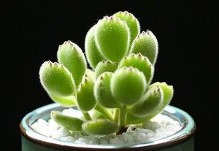 y67o3HFtRHPH5TH7.jpg