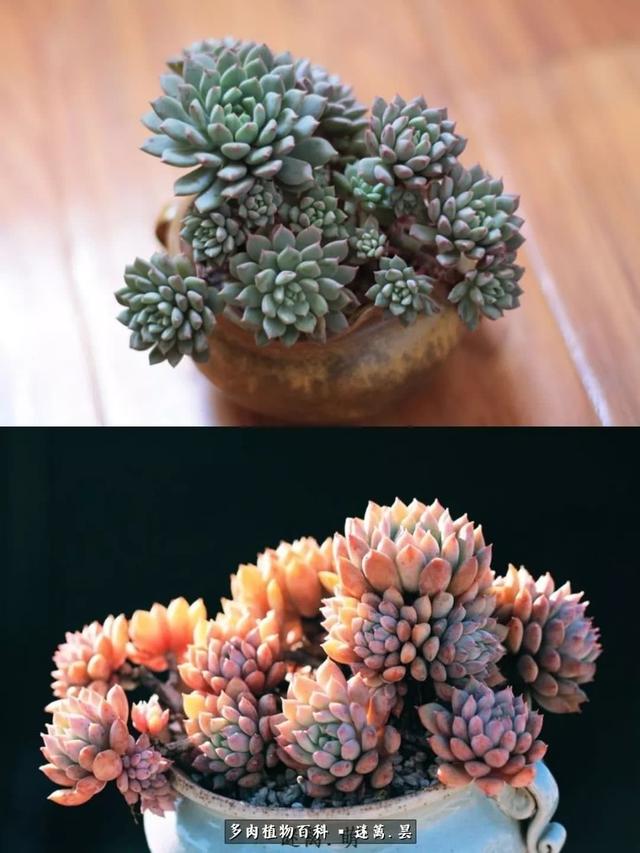 sv2o7EFVF377747G.jpg
