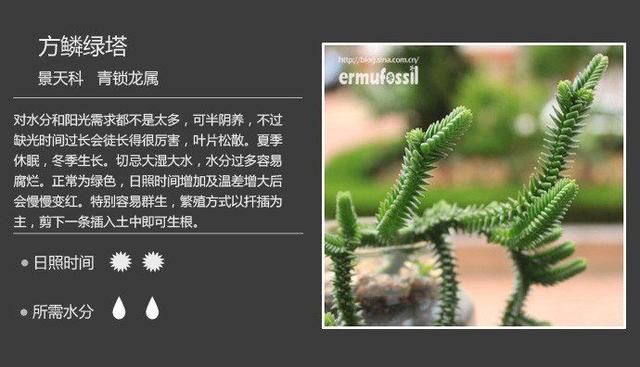 qQ9c7F4o99N976no.jpg