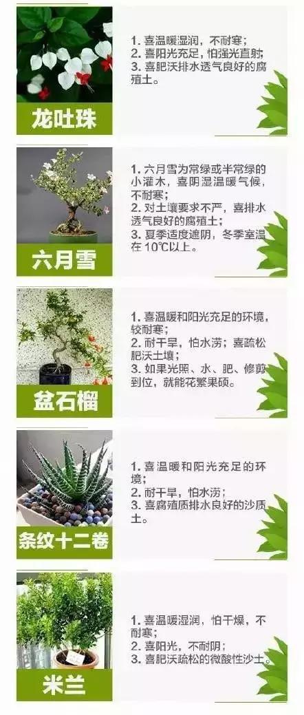 oQCB1AB9f51GZBNn.jpg