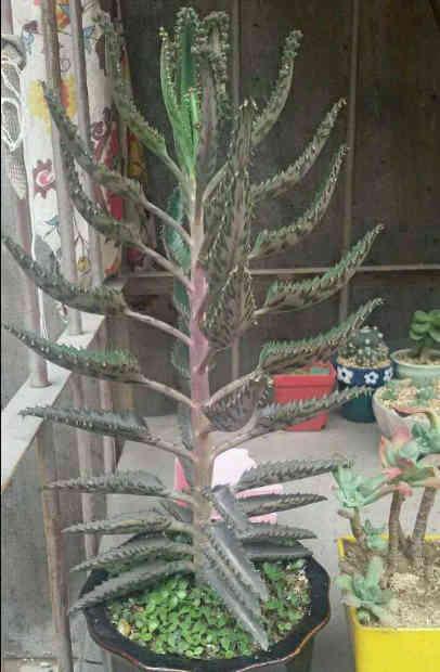 pHR9Qmzrmh6g9Dhk.jpg