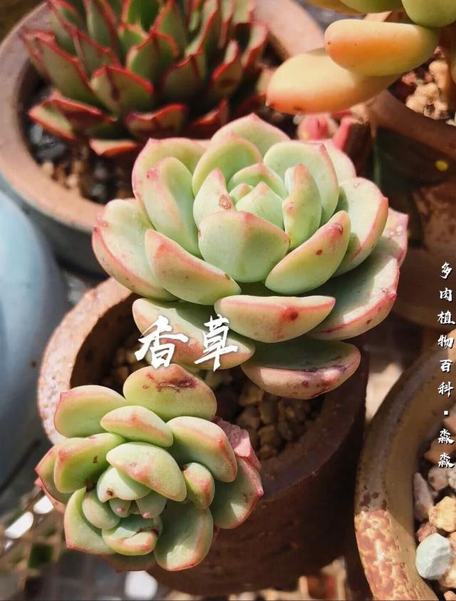 uvOpMpydm91Pmkkw.jpg