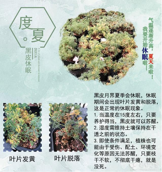 R7717bGmJ73y7nPR.jpg