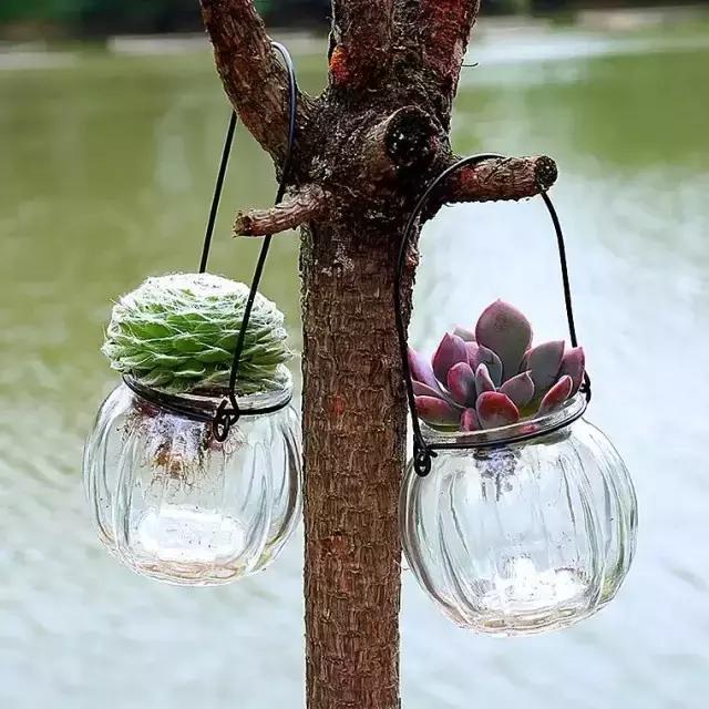 iSYG1QWzZsGSwYS8.jpg