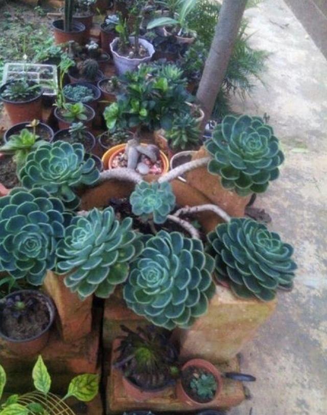 OxJA9wkmTzAQS5aJ.jpg