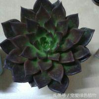 k03TT58D153330qz.jpg