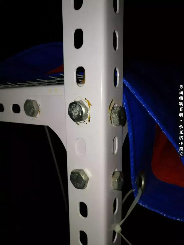 dZk2WBX61xMxX5cw.jpg