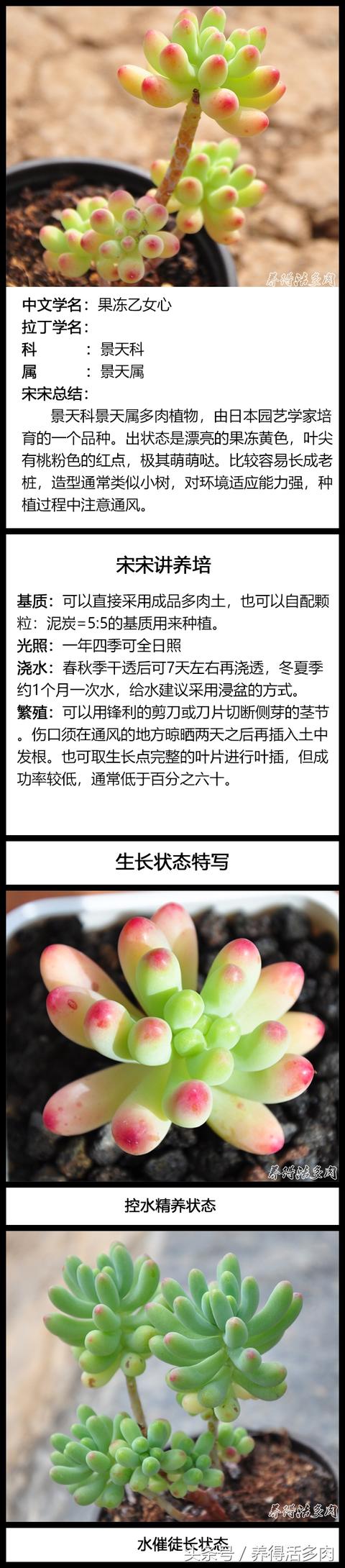 kl6fv7sWX7J3ZBj9.jpg