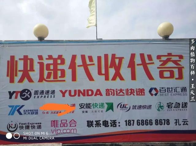 xnPeu20U23c323IP.jpg